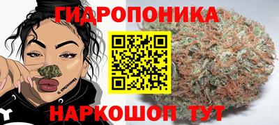 apvp Пыть-Ях