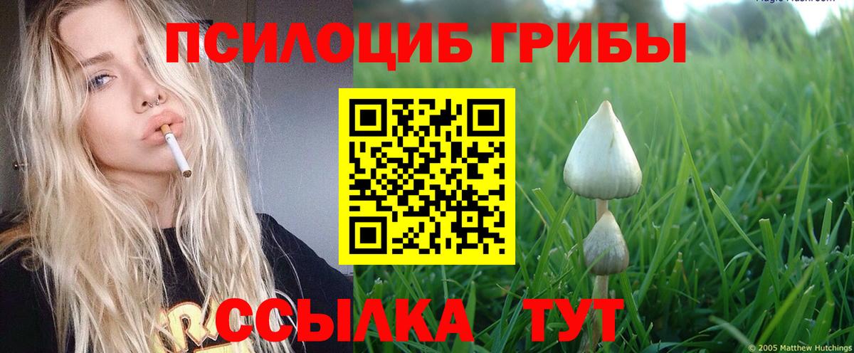 Псилоцибиновые грибы ЛСД Сухой Лог