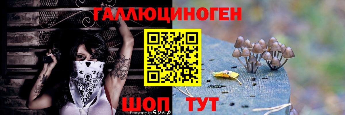 как найти закладки  Псилоцибиновые грибы MAGIC MUSHROOMS  Вход с VPN  Сухой Лог 